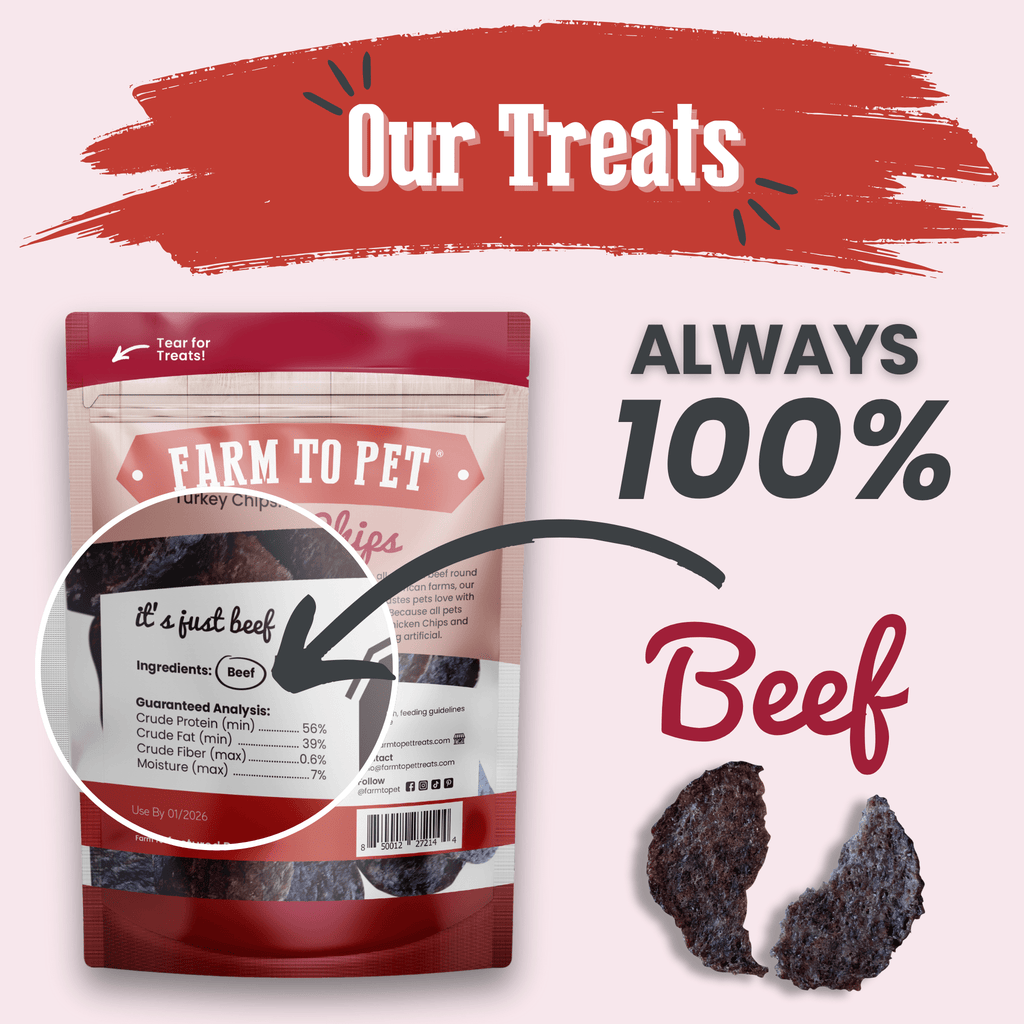 Beef Chips Dog Treats | Single-Ingredient Healthy Treats for Dogs-1