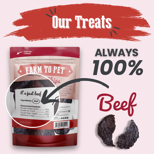 Beef Chips Dog Treats | Single-Ingredient Healthy Treats for Dogs-1