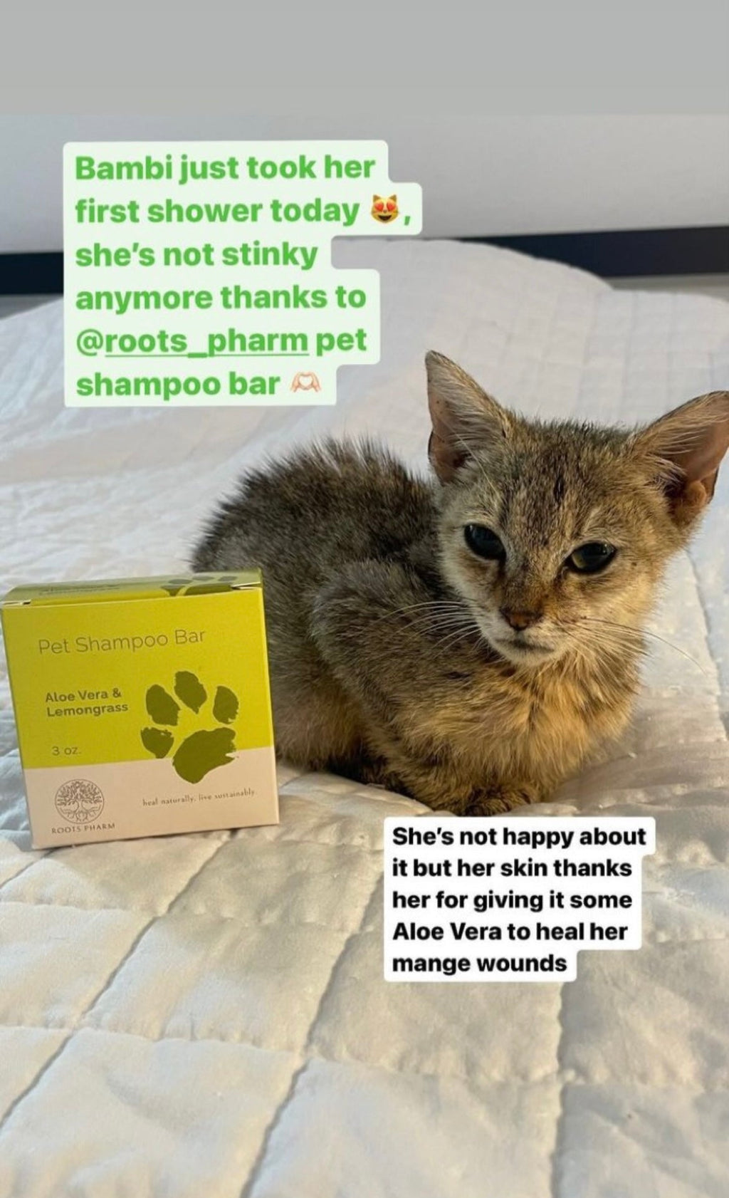 Pet Shampoo Bar-4
