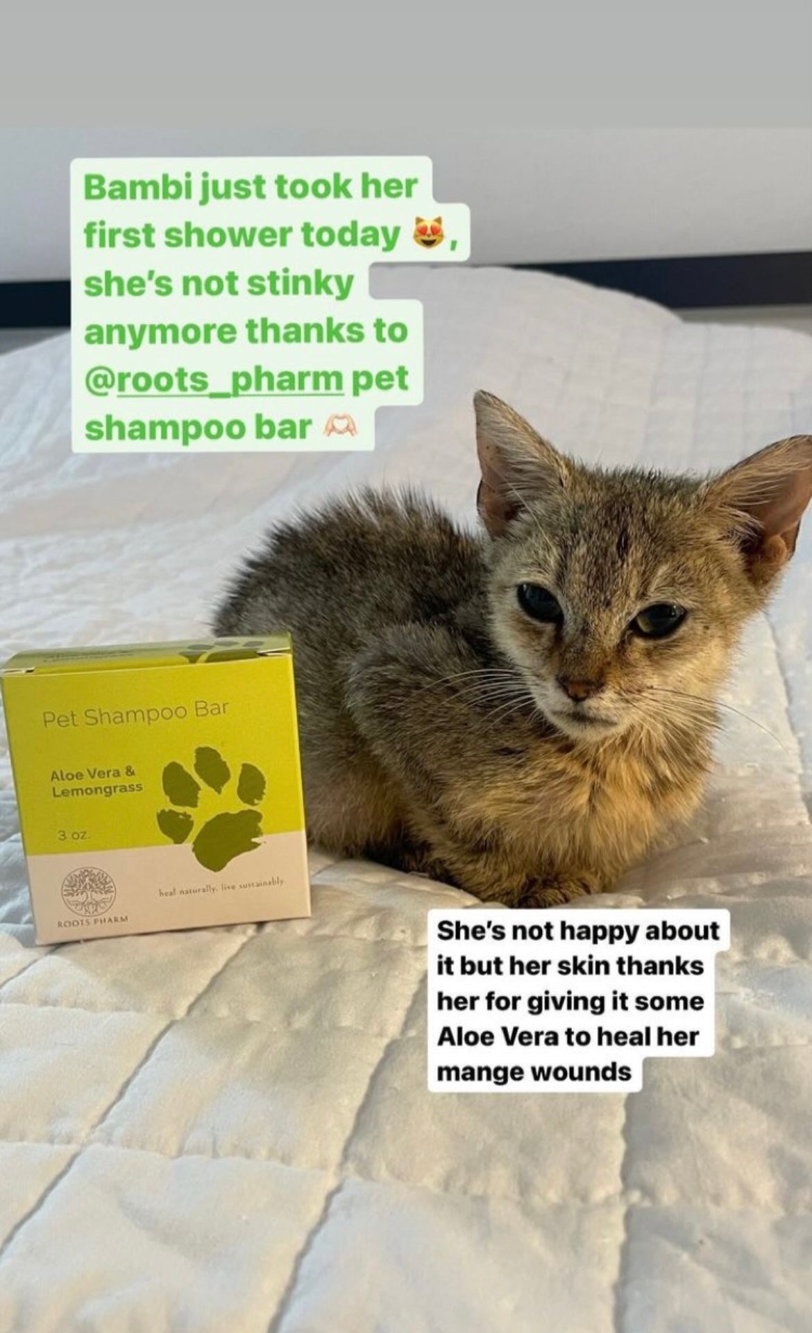 Pet Shampoo Bar-4