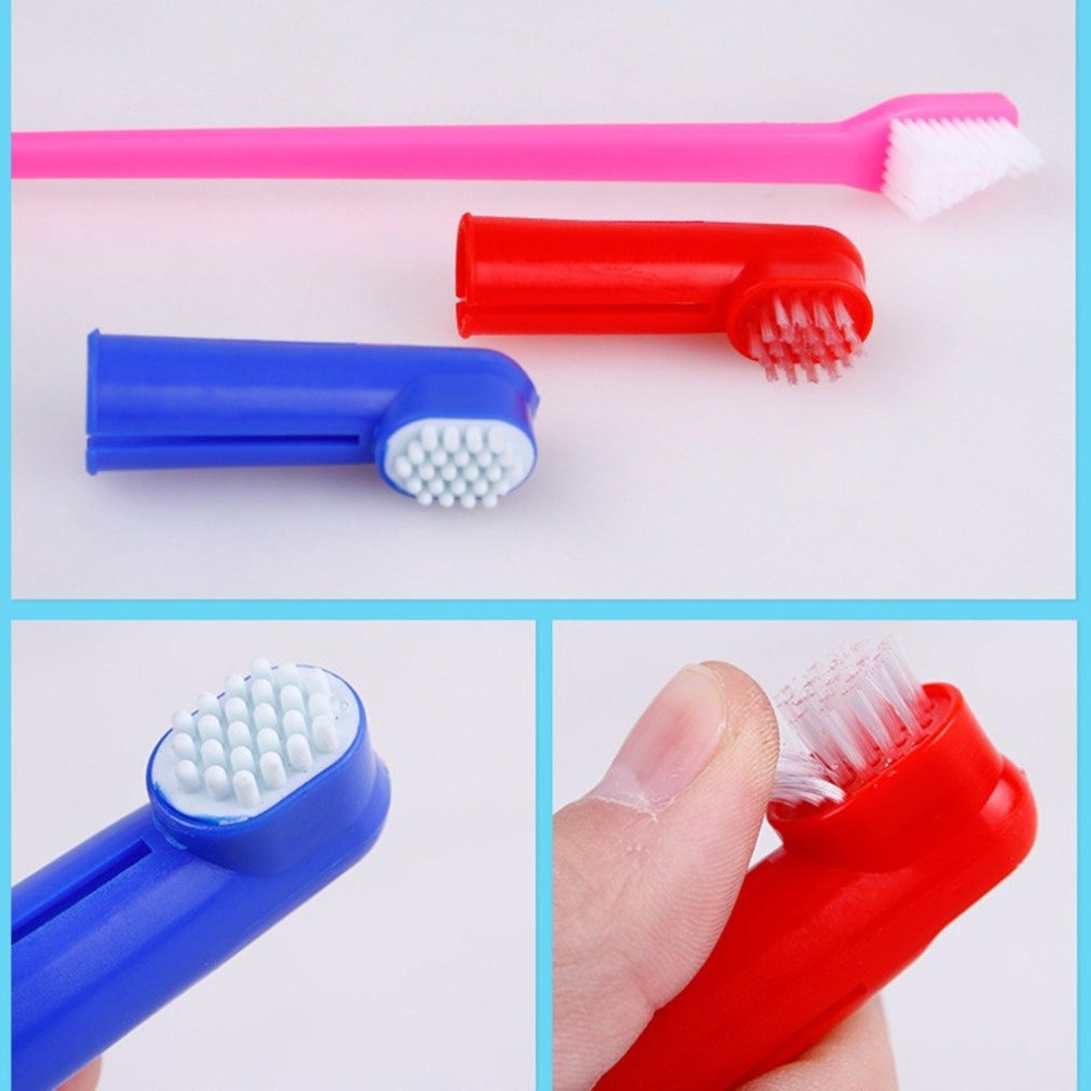 Pet Dental Care Brush Set-1